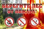 Памятка населению по действиям при возникновении лесного пожара