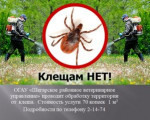 Обработка от клеща